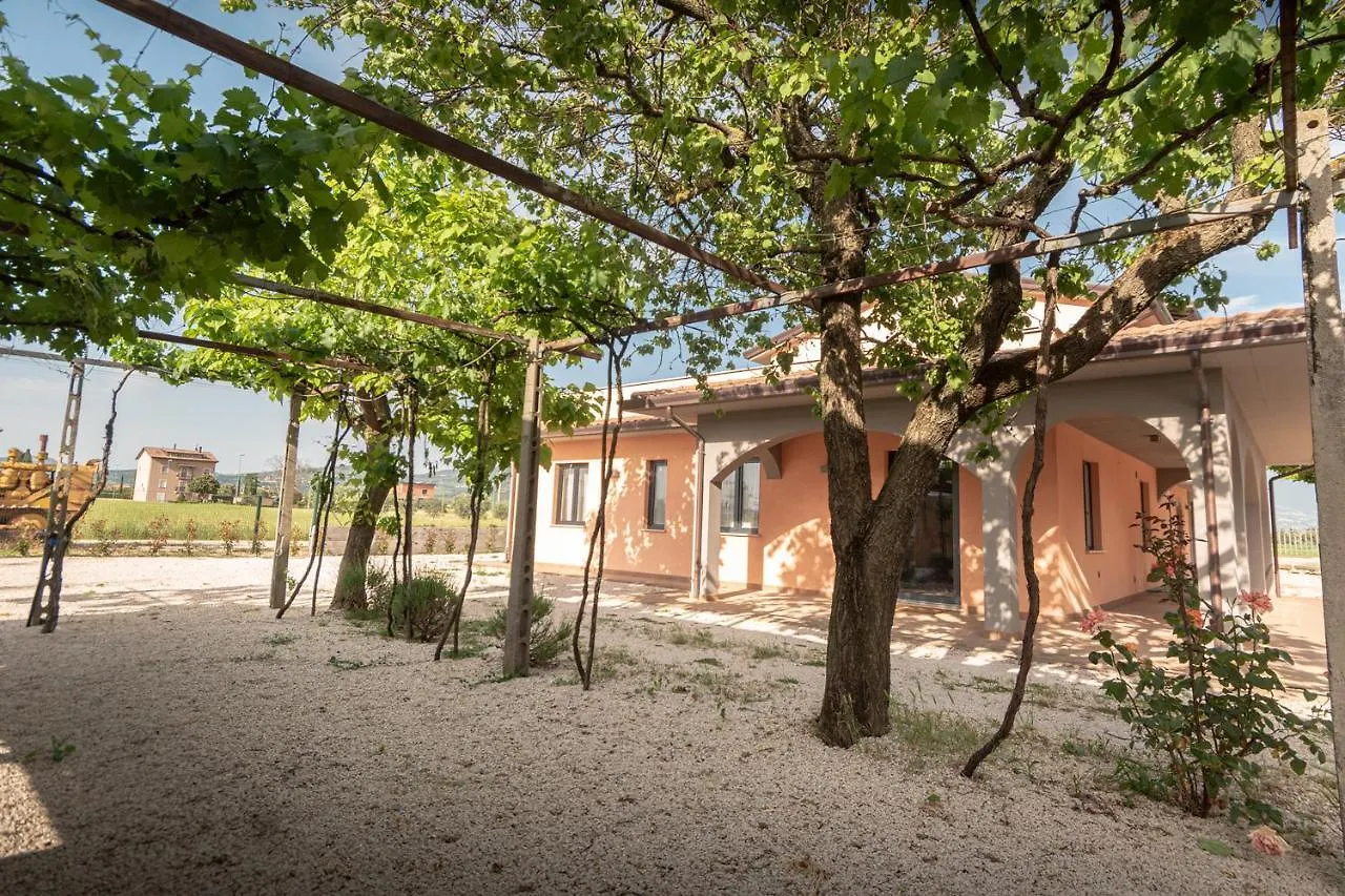 Assisium Appartamenti Bastia Umbra